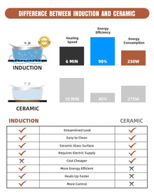 2-Burner Induction Cooktop