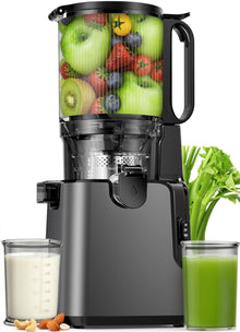 2-in-1 Cold Press Juicer, 400W