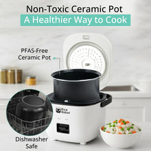 Personal & Family Rice Cooker