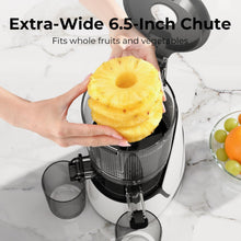 3-in-1 Cold Press Juicer