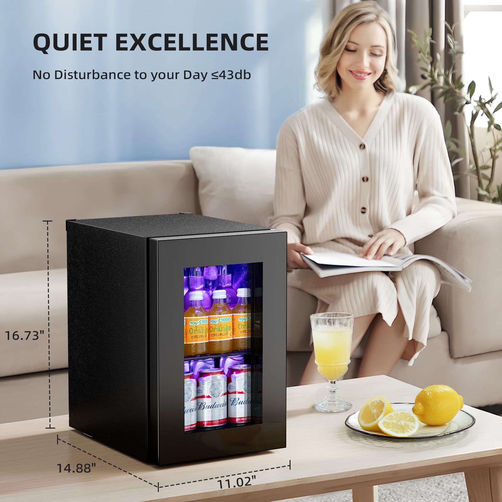 Beverage Mini Fridge, Stainless Glass Door