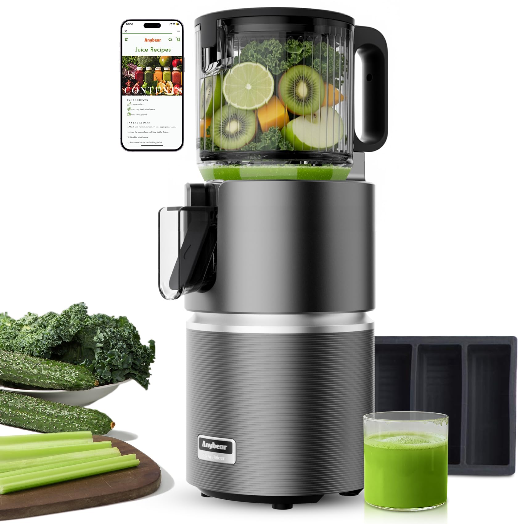 Cold Press Juicer, 350W