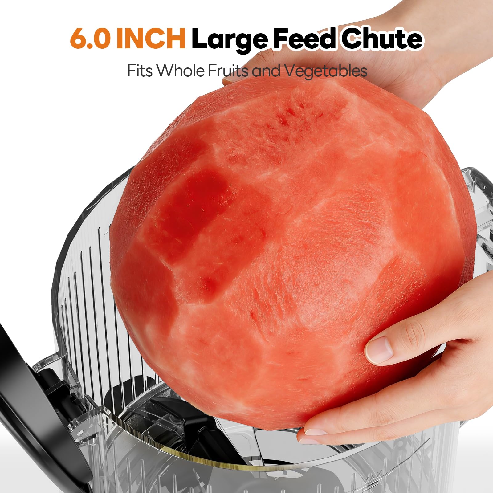 3-in-1 Juicer, Large Capacity