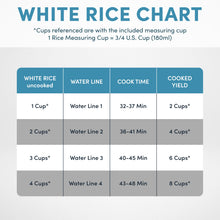 Digital Rice Cooker, 8-Cup, Stainless Steel