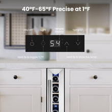 Wine Fridge with Glass Door