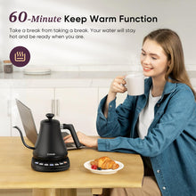 Smart Gooseneck Kettle, Stainless Steel